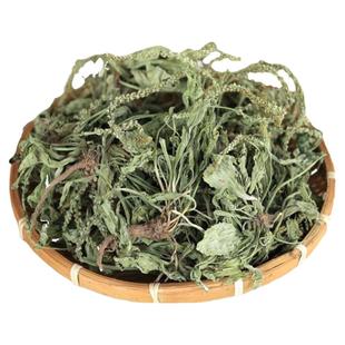 中药材车前草500g包邮四川新鲜野生车前草干货整颗袋泡茶泡水