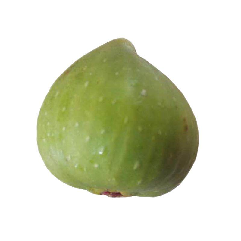 新鲜无花果现挖树根全年