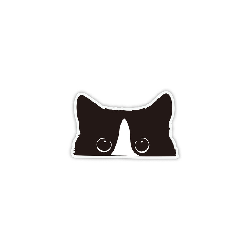 小黑猫磁性车贴个性装饰遮挡划痕磁力可爱不伤车漆贴纸粘磁力服帖