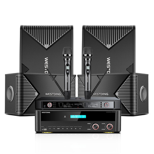 新旗舰家庭KTV音响套装连接电视投影仪家用卡拉OK客厅影院音箱