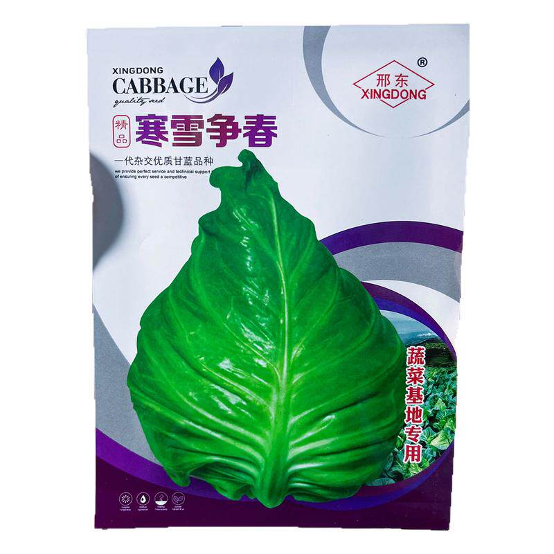寒雪争春甘蓝牛心莲花白种子杂交