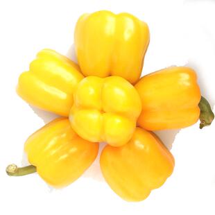 甜椒种子黄色灯笼椒黄彩椒方椒柿子椒四季阳台盆栽大田好吃圆椒