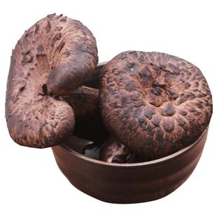 新鲜黑虎掌菌500g云南特产楚雄虎掌菇新鲜菌菇野生菌獐子菌煲汤料