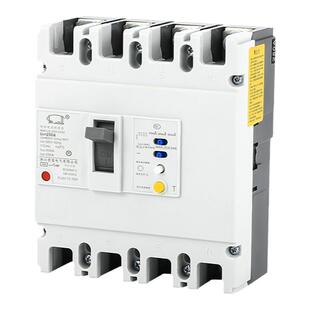 RM1LE三相四线漏电断路器漏电保护开关250a/160a/400a安全低功耗