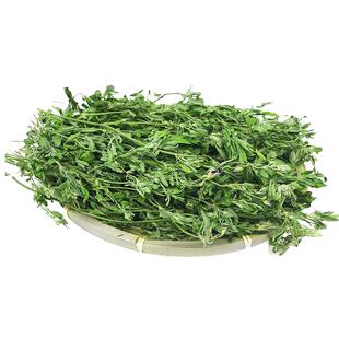 25年新草苜蓿草牧草干草箱装苜蓿草毛重1千克包邮全国大部分地区