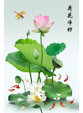 荷花净秽图卫生间自粘贴画