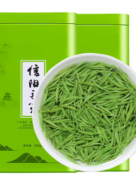 信阳毛尖2026新茶浓香型500g
