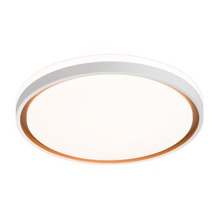 雷士照明现代简约主卧书房阳台玄关圆方形全光谱护眼卧室灯吸顶灯