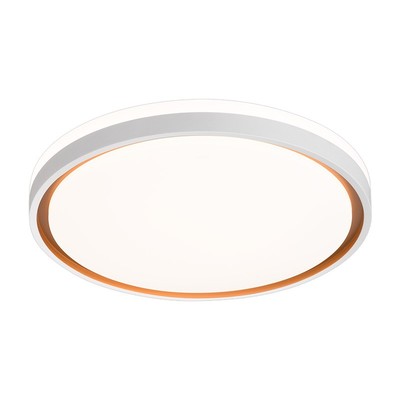 雷士照明led智能护眼室灯大合集