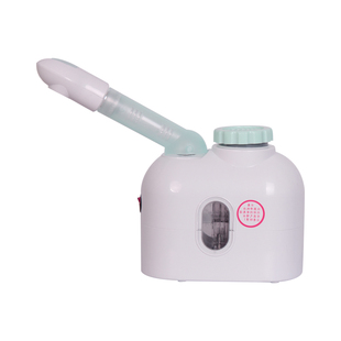 冷热喷雾机美容仪补水打开毛孔家用蒸脸器热喷仪美容院专用双喷仪