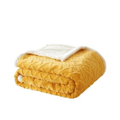 冬季羊羔绒毛毯双层加厚毯子沙发毯不掉毛法兰绒毛毯儿童婴儿毯子