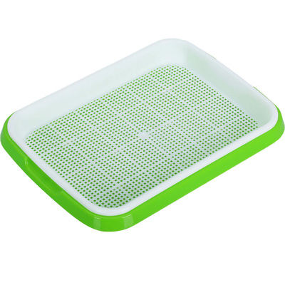 豌豆小麦发芽设备种植盘水培蔬菜