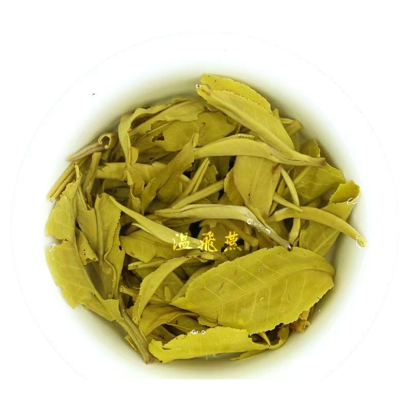 茶厂直销云南温飛燕茉莉花茶浓香特级百号大龙毫250g袋装花茶
