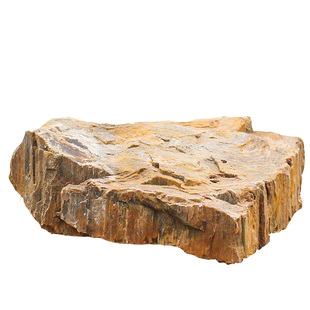 木化石原石鱼缸天然假山盆景装饰品大块龟缸躲避造景石头组合摆件