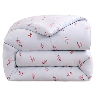 加厚蚕丝被冬被丝棉被芯保暖被子单双人春秋学生宿舍棉被四季批发