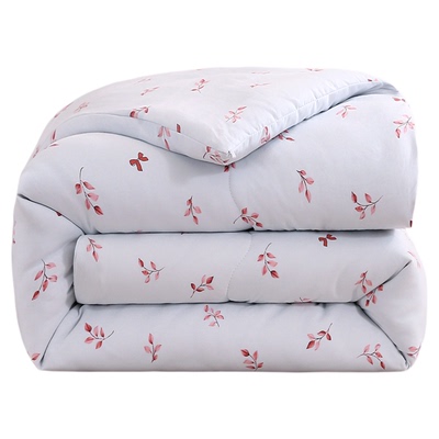 加厚蚕丝被冬被丝棉被芯保暖被子