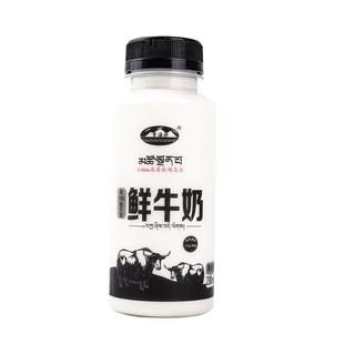 青海湖高原鲜牛奶230ml*8瓶装含15%生牦牛乳巴氏杀菌低温冷藏鲜奶