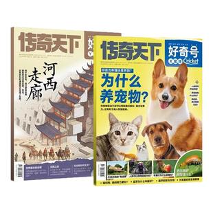 好奇号2025年期刊杂志跨年刊6-12岁儿童杂志科学科普读物少儿传奇天下期刊正版博物环球地理商界少年新知意林万物好奇号