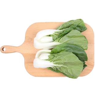 【小汤山】奶白菜 约250g 新鲜蔬菜基地种植当天采摘59元包顺丰