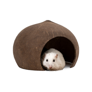 椰子壳仓鼠窝椰壳躲避屋夏天降温造景大号用品金丝熊小房子花枝鼠