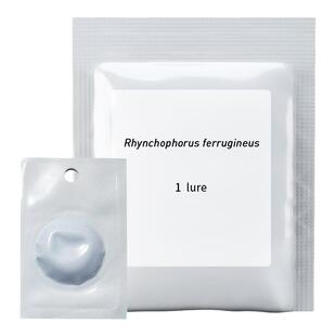 中捷四方诱尔红棕象甲性诱剂诱芯小蠹诱捕器果树害虫