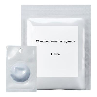 中捷四方红棕象甲小蠹虫诱捕器