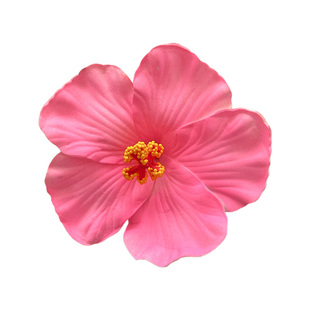 仿真彩色扶桑花发夹女2025新款高端侧边碎发鸭嘴夹子头饰发卡发饰