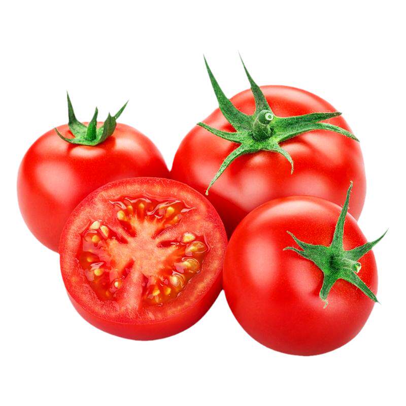蔬菜番茄西红柿多年生四季种子