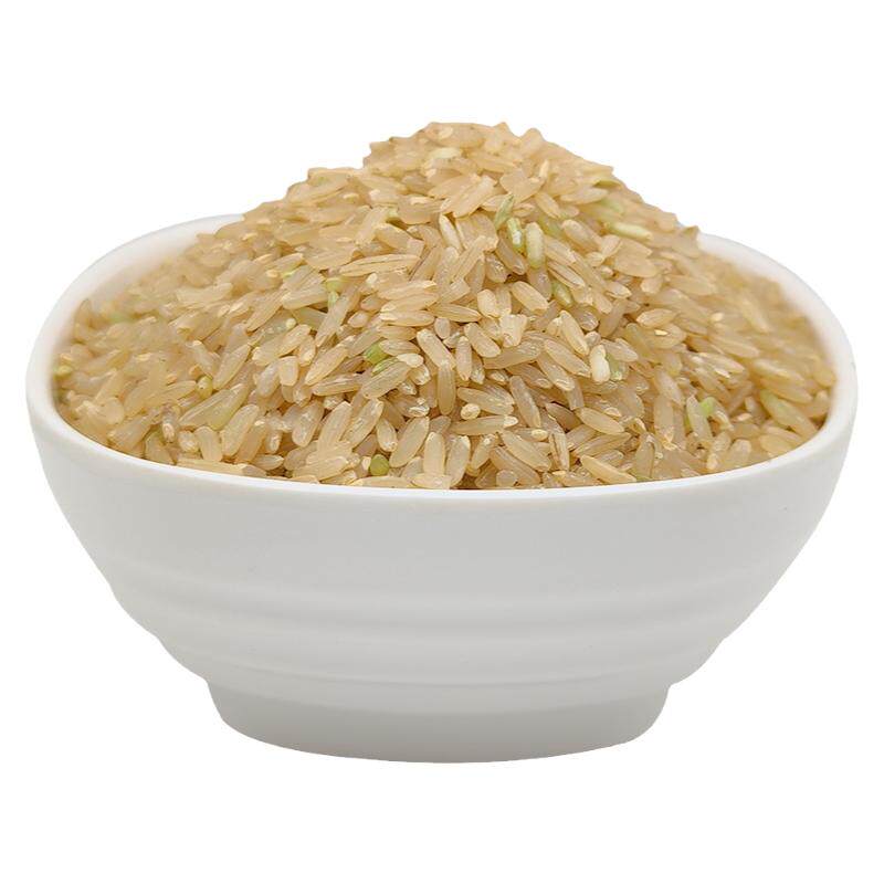 可以发芽的糙米，您见过吗？