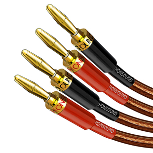 宏尚德香蕉插头喇叭线纯铜主副音箱专用音频连接线功放环绕音响线