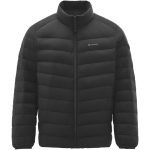 坦博尔25秋冬季新款羽绒服男士短款轻薄立领时尚运动舒适保暖外套