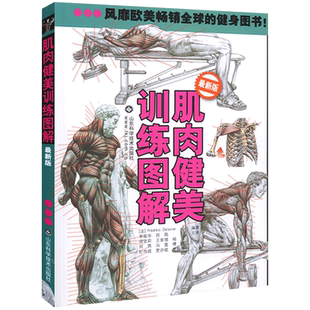 肌肉健美训练图解德拉威尔运动肌肉解剖学图谱健身教程大全健身书籍增肌书籍健身教练书籍功能性训练书肌肉拉伸训练力量训练解剖书
