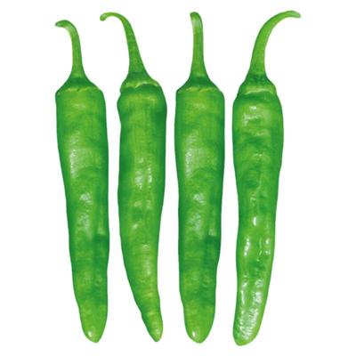 正宗寿禾樟树港辣椒种子湖南本地种籽孑四季超辣特辣苗秧蔬菜秧苗