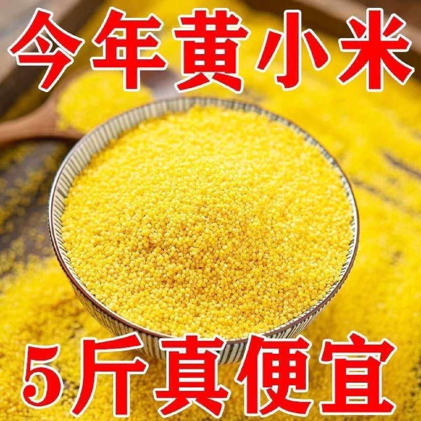 赤峰黄小米新米月子米敖汉小米五谷杂粮米糯小米农家黄米当季新粮