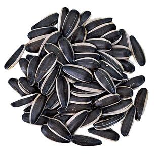 生瓜子葵花籽新货薄皮363特大颗粒内蒙古5斤散装新鲜现炒原味瓜子