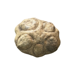 漆树科天然植物果壳人面子果菩提原籽鬼脸菩提可盘玩diy手串把件