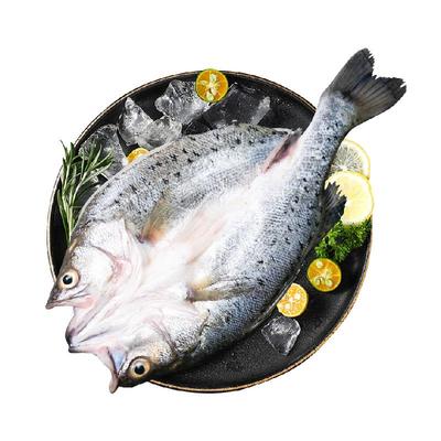 鸿顺去麟去腮去内脏海鲈鱼