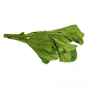 四川冬寒菜新鲜现摘现发苋菜甜菜马蹄菜东汉菜农家自种时令蔬菜