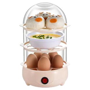 蒸蛋器防干烧自动断电多功能家用煮蛋器小型蒸蛋羹蒸蛋早餐机