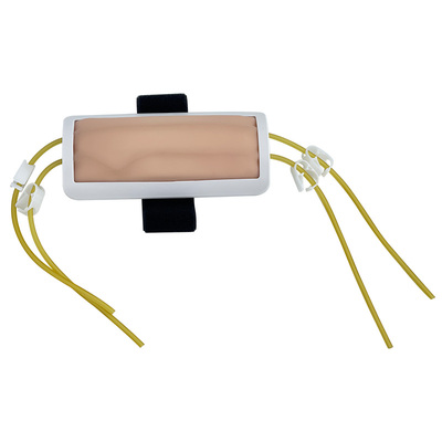 蓝蝶高级前臂穿刺手臂外血管输液