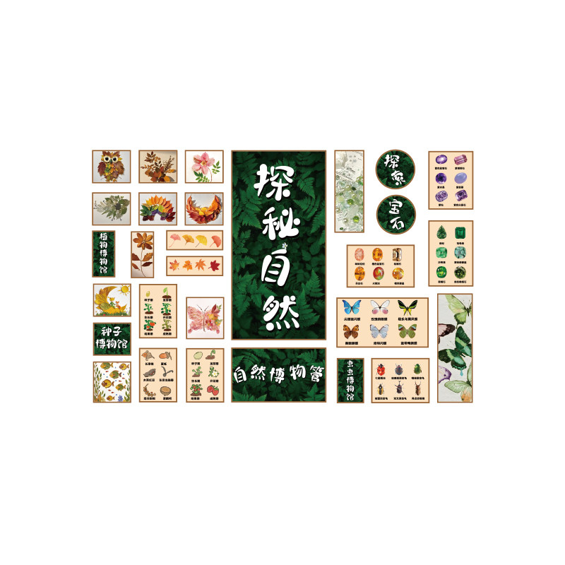 幼儿园自然种植物角区环创墙面装饰主题成品材料布置文化造背景