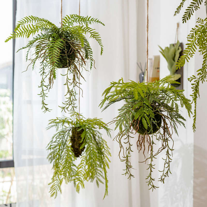 仿真蕨类垂吊悬挂植物吊球吊饰空中挂饰森系花艺壁挂橱窗室内装饰