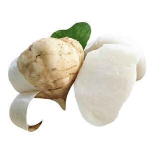 现挖冬季新鲜凉薯农家土瓜葛薯广西应季水果脆甜白地瓜地萝卜白薯