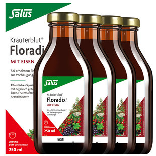 Salus莎露斯红版德国铁元孕期女性补铁血补铁eisen铁元素250ml*4