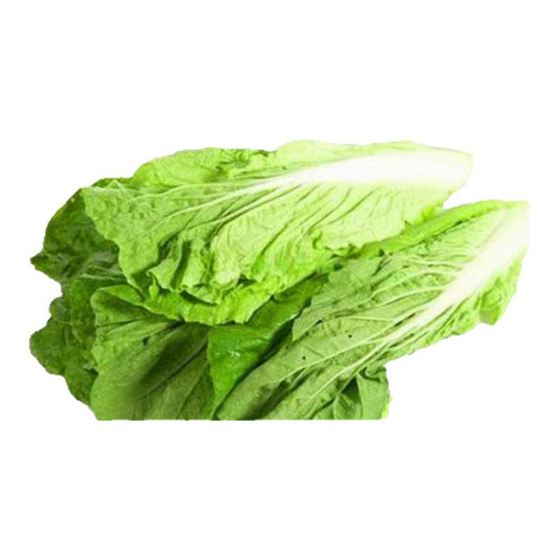 老一生鲜小白菜新鲜蔬菜