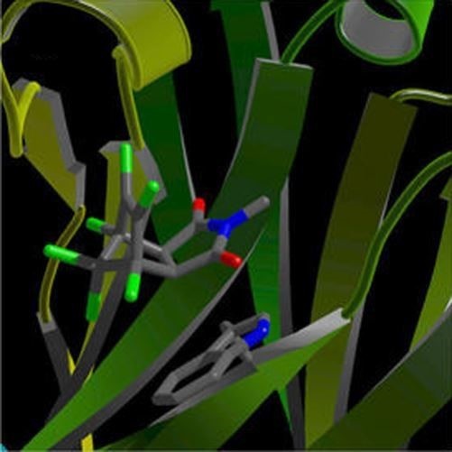分子动力学计算服务 蛋白结构优化 分子模拟 药物设计 CADD