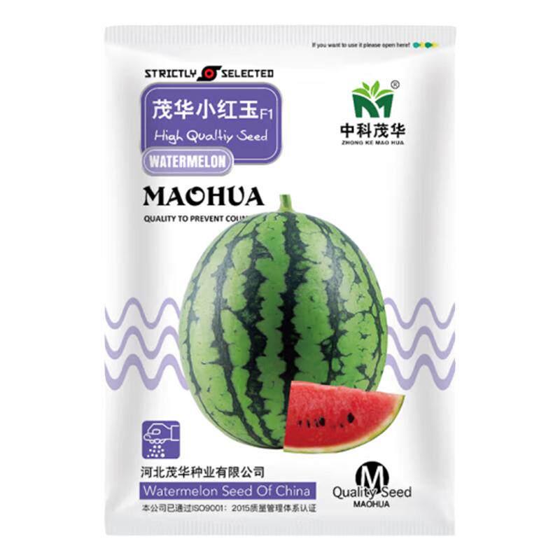 中科茂华茂华小红玉礼品西瓜种子家庭园艺种子