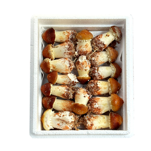 【新鲜采摘】新鲜赤松茸松茸菌菇顺丰包邮大球盖菇姬松茸整箱2斤