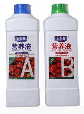 草莓营养液无土栽培通用促花促果