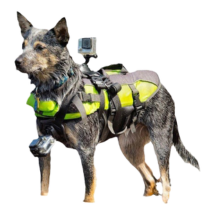 GoPro13影石acepro2配件宠物背带第一人称视角拍摄固定支架狗狗猫咪视角相机配件运动相机胸前背部固定视角